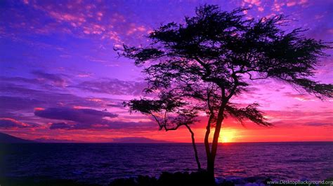 Purple Sunset Wallpapers HD Images New Desktop Background