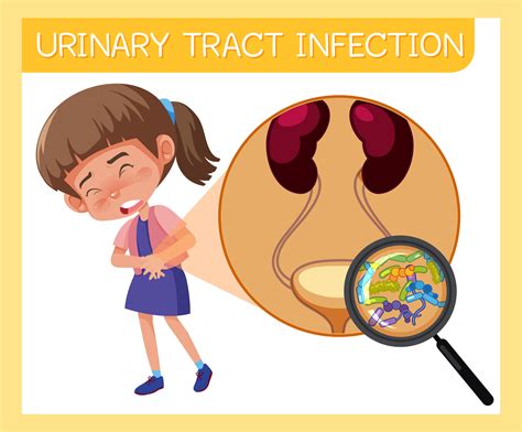 Urinary Tract Infections In Children Uti Symptoms Kids Symptoms Of Uti