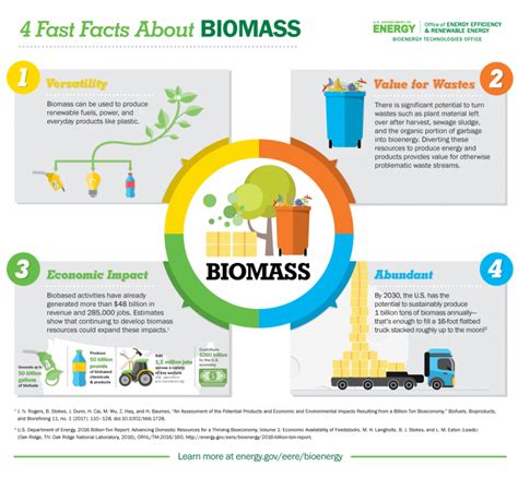 4 Fast Facts About Biomass Department Of Energy