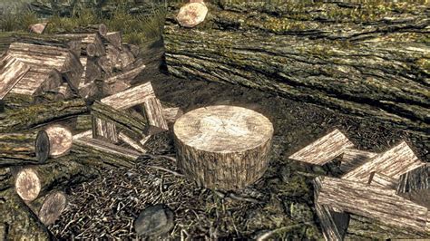 Wood Chopping Block Elder Scrolls Fandom Powered By Wikia