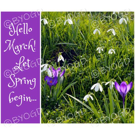 Quote Image 57 Hello March Let Spring Begin ⋆ Be Your Own Graphic