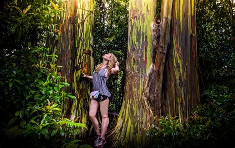 Waianapanapa State Park Road To Hana Must See Destination Hiking