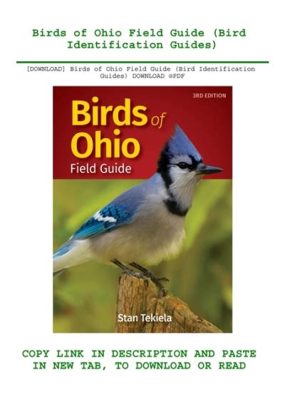 Download Birds Of Ohio Field Guide Bird Identification Guides
