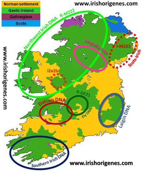 Blog Irish Origenes Use Your Dna To Rediscover Your Irish Origin