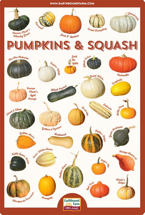 Ready For Fall And All Things Pumpkin Do You Know What Variety You Brought Home Check Our