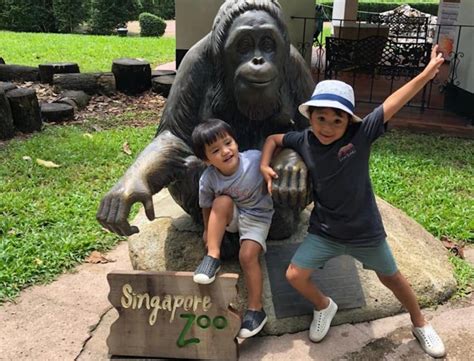 Guide To Singapore Zoo With Kids Honeykids Asia