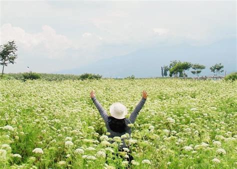 Check spelling or type a new query. 5 Tempat Wisata Indah ini Berawal Dari Kebetulan