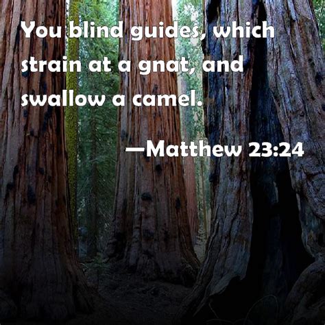 The government is letting the housing crisis spiral out of control while they spend millions trying to catch people who sublet their apartments without paying taxes. Matthew 23:24 You blind guides, which strain at a gnat ...