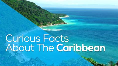 Curious Facts About The Caribbean Whygo Youtube