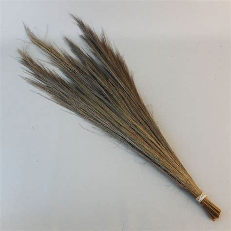 Dried Broom Grass Dried And Preserved Flowers And Foliage