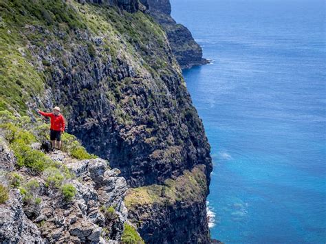 Seven Peaks Walk At Pinetrees Lord Howe Island Nsw Holidays