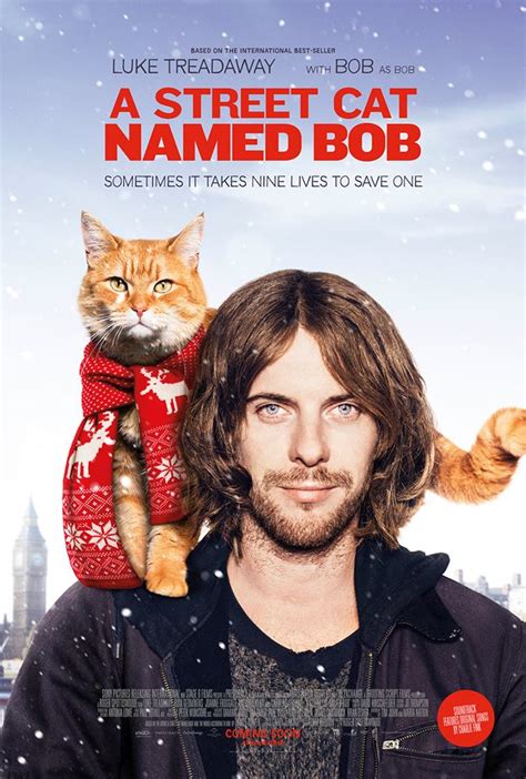 panorama do cinema um gato de rua chamado bob première mundial com presença da realeza
