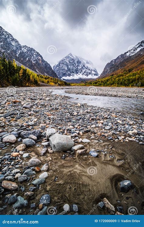 The Floodplain Of The Aktru Mountain Glacial Basin In Autumn Stock