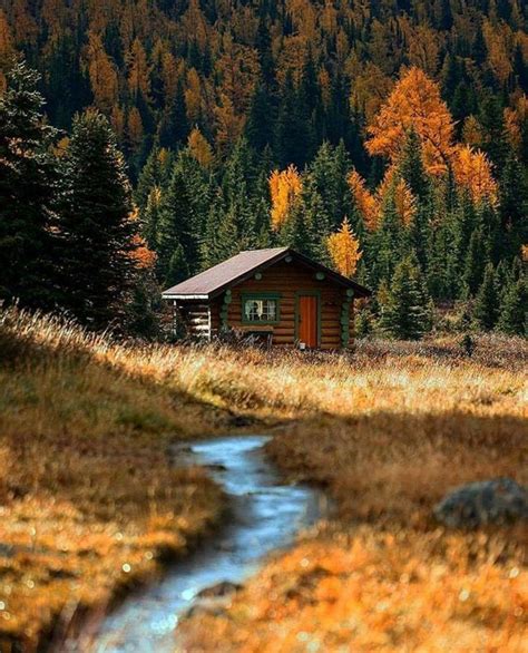 Visit us and enjoy the time in the middle of nature exploring the. Absolutely beautiful | Cabins in the woods, Rustic cabin ...