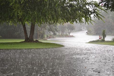 Optics Why Can We See Through Rain Physics Stack Exchange