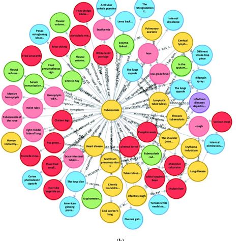 The Medical Knowledge Graph A Visualization Of Dik Medical