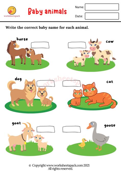 Baby Animals Worksheets Printable And Online Worksheets Pack