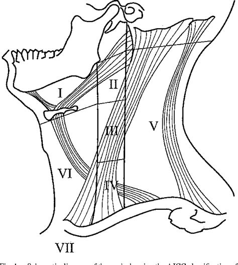 Figure 1 From Sonography Of Neck Lymph Nodes Part Ii Abnormal Lymph