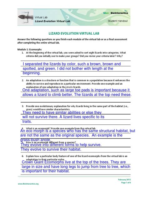 Deletion (a base is lost) insertion (an extra base is inserted) deletion and insertion may cause what's called a. lizard-evolution-virtual-lab-student-worksheet 1 ...