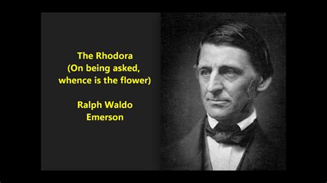 Ralph Waldo Emerson The Rhodora Poem Audio Text Analysis Transcendentalist Poem On Nature