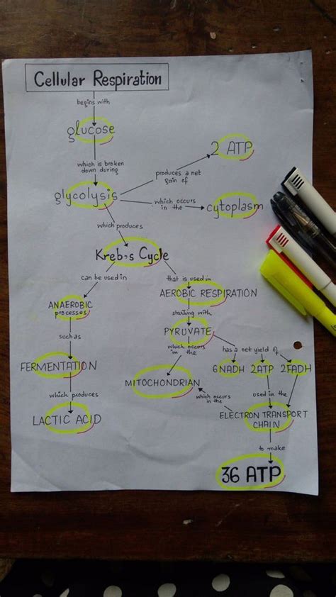 Notes On Kreb Cycle Teaching Biology Medical Student Study Medical