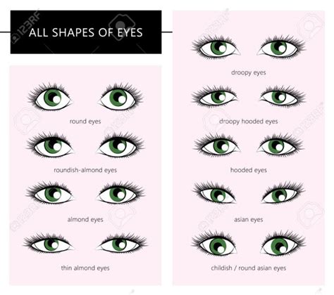 Men What Eye Shape Do You Find To Be Most Atractive In Females