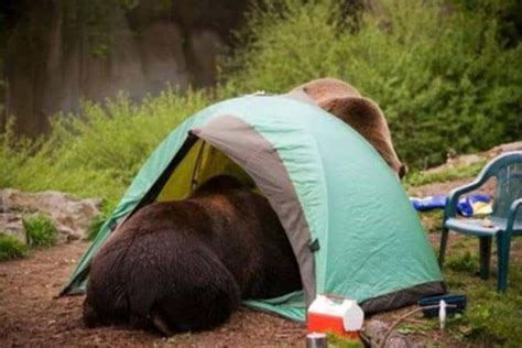 10 Hilarious Pictures Of Camping Fails