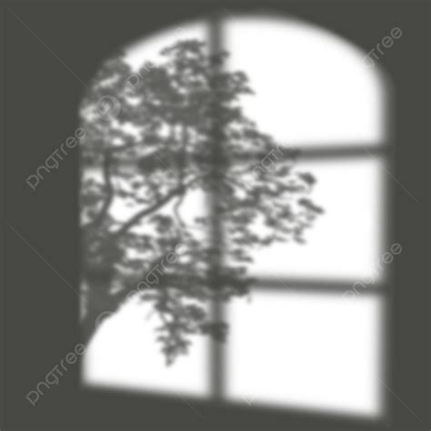 Christmas Tree Window Silhouette Png Free Window And Tree Shadow
