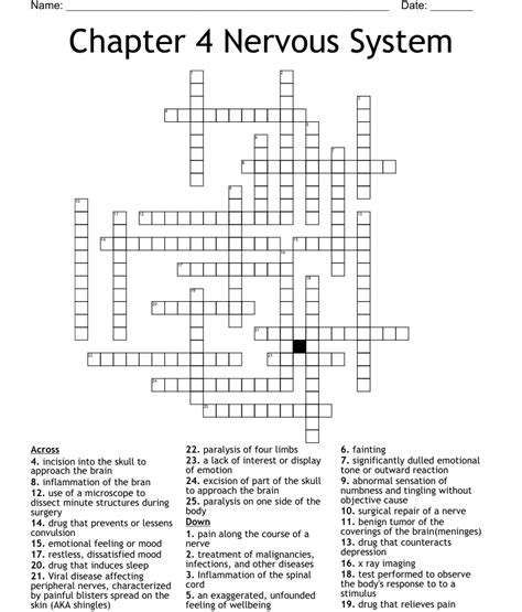 Chapter 4 Nervous System Crossword Wordmint