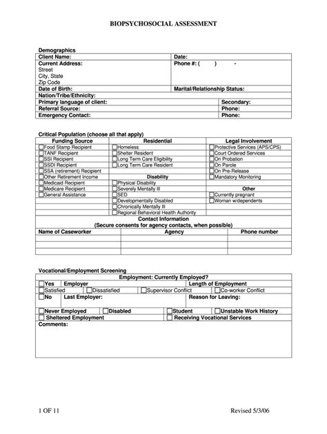 Biopsychosocial Assessment Template Word Fill Out And Sign Online Dochub