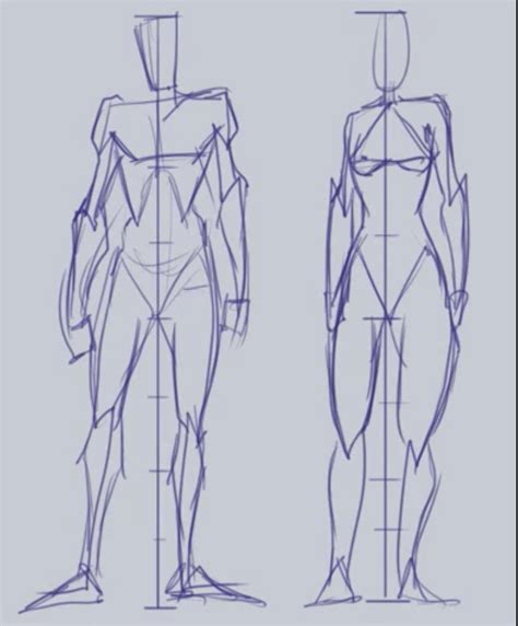 Simple Sycra Anatomy Anatomy Reference Body Reference Drawing