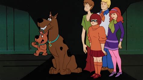 Scooby E Scrappy Doo MUBI