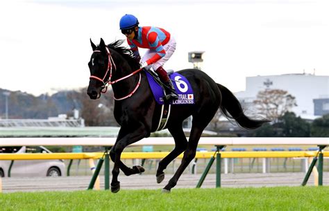 Horse Racing 2020 Triple Crown Winner Contrail Eyes Japan Cup Victory