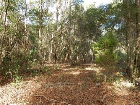 2.02 acres in Levy County, Florida