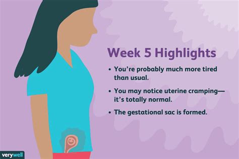 Pregnancy Cramping 5 Weeks 5 Weeks Pregnant Symptoms Tips And More