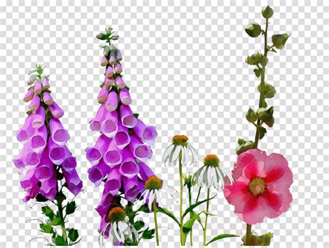 Wildflowers Free Download Clipart 10 Free Cliparts Download Images On