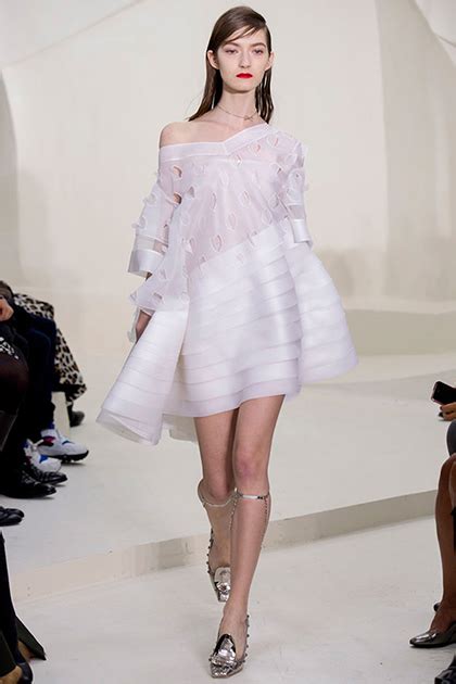 Haute Couture Springsummer 2014 Christian Dior By Alexandra Suhner