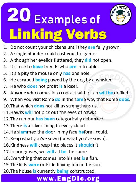 20 Examples Of Linking Verbs In Sentences Engdic