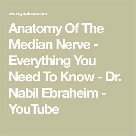 Anatomy Of The Median Nerve Everything You Need To Know Dr Nabil My