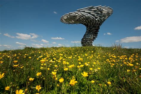 The Singing Ringing Tree By Ejn