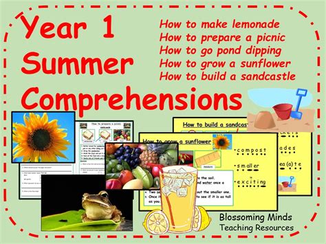 Year 1 Summer End Of Term Bundle Teaching Resources