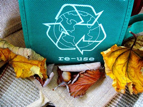 6 Strange Things You Never Knew You Could Recycle We Teach Science