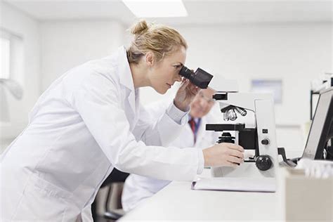 Top 60 Pathology Lab Stock Photos Pictures And Images Istock