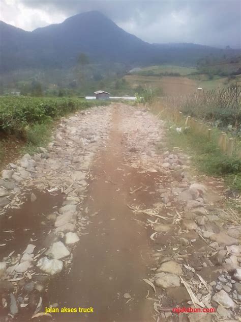 We did not find results for: Jual Kebun Teh di daerah Ciwidey Bandung Barat ...