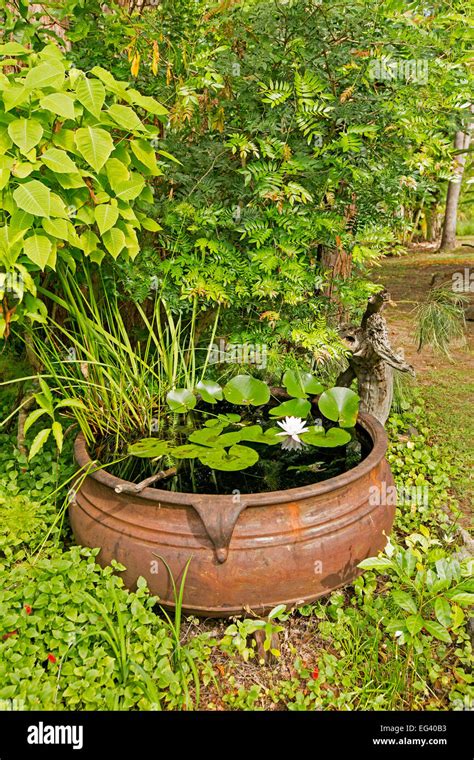 Large Circular Cauldron Unusual Decorative Garden Water Feature With