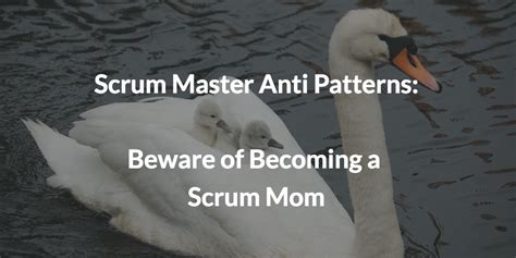 Anti Patterns Beware Of Becoming A Scrum Mom Or Scrum Pop