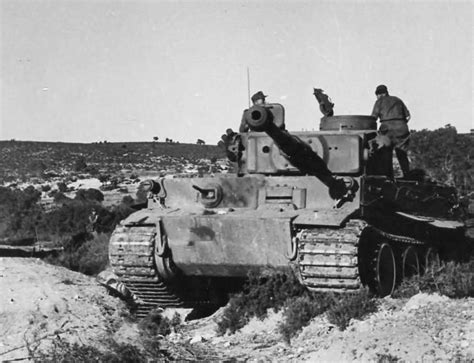 Tiger I Number Of Schwere Abteilung In Tunisia Dak Afrika Korps