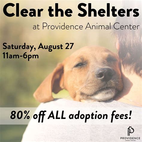 Get Ready To Clear The Shelters Providence Animal Center