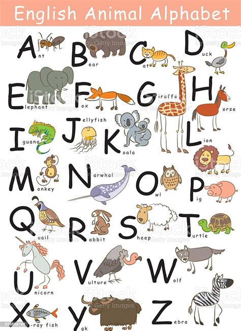 英語動物のアルファベット アルファベットのベクターアート素材や画像を多数ご用意 Istock