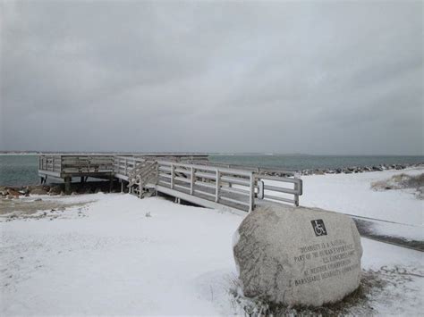 Home decor, gifts & accessories Dowses Beach in Osterville | Cape cod, Beach, Outdoor